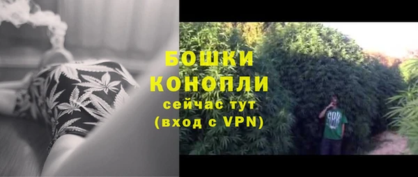 PSILOCYBIN Богородск