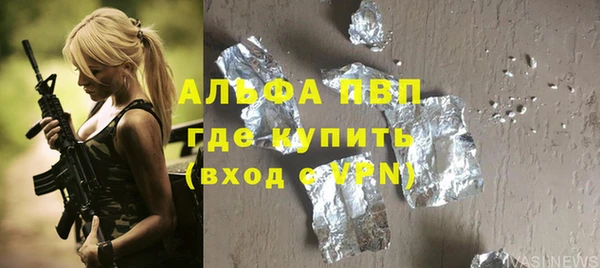 прущие грибы Белоозёрский