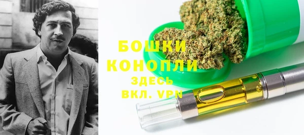 соль ск Богданович